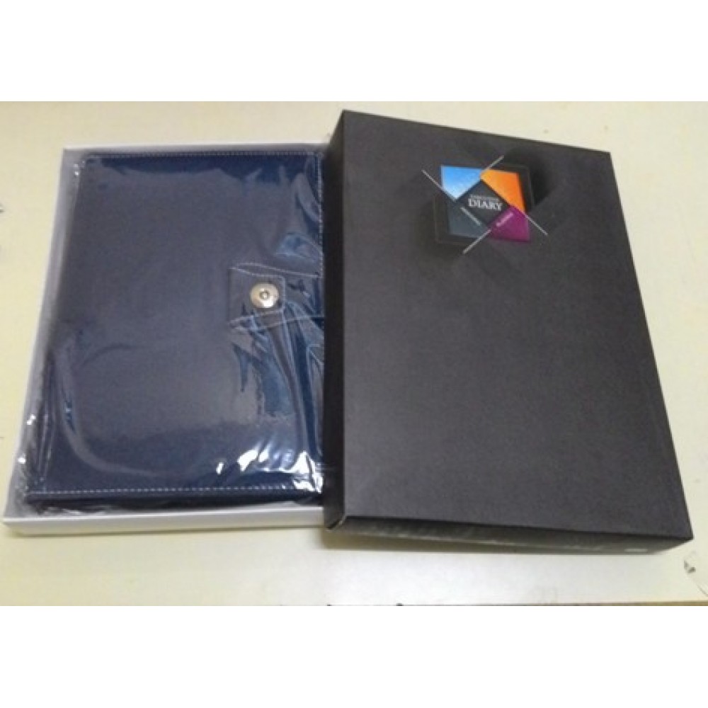 New Year Diaries with foam cover